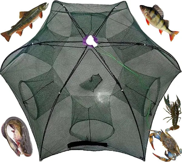 Foldable Fishing Bait Trap Net for Crab Crawdad Shrimp Minnow and Fish - product view 3