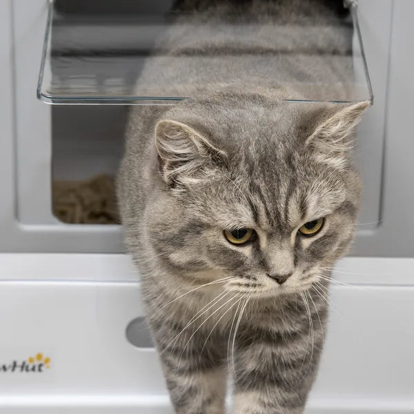 Fully Enclosed Cat Litter Box, Front Entry, Top Exit, Easy Clean, Gray - product image 9