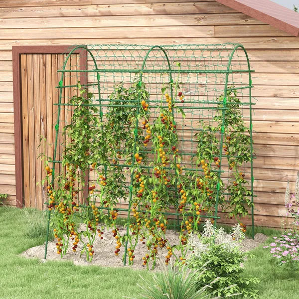 Outsunny Metal Arch Garden Trellis for Climbing Plants, A-Frame with Net, 57"x66"x81", Green Outdoor Decor - product image 2
