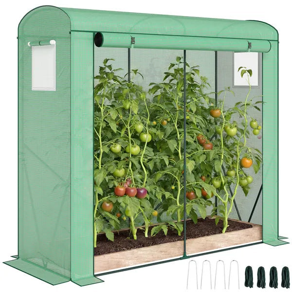 Mini Greenhouse, Portable Greenhouse with Roll-Up Door and 2 Mesh Windows, PE Cover, 78.7" x 29.5" x 74", Green - product image 11