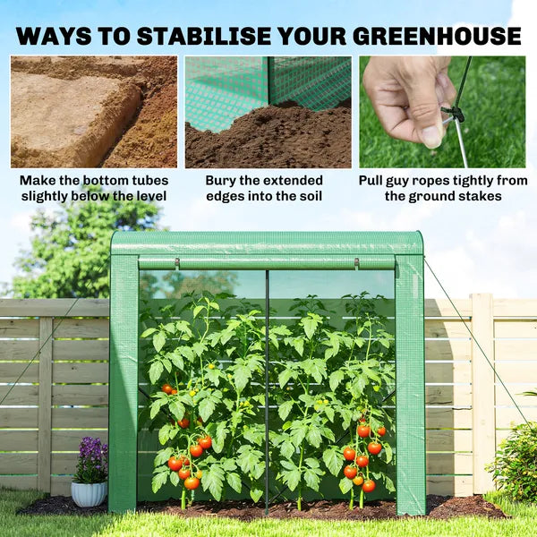 Mini Greenhouse, Portable Greenhouse with Roll-Up Door and 2 Mesh Windows, PE Cover, 78.7" x 29.5" x 74", Green - product image 8