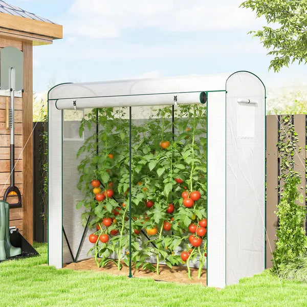 Mini Greenhouse, Portable Greenhouse with Roll-Up Door and 2 Mesh Windows, PE Cover, 78.7" x 29.5" x 74", White - product image 2