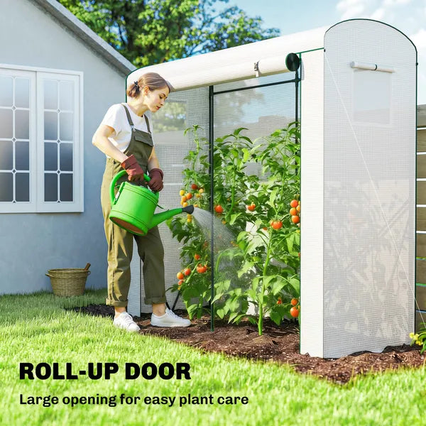 Mini Greenhouse, Portable Greenhouse with Roll-Up Door and 2 Mesh Windows, PE Cover, 78.7" x 29.5" x 74", White - product image 6