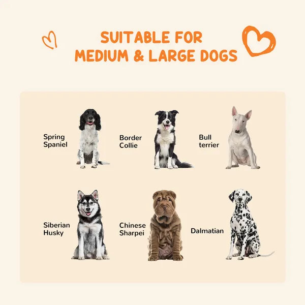 Outdoor Dog Kennel 9.3x4.6 Exercise Pen with UV Protection Canopy Water-resistant for Medium Large Dogs - product image 4