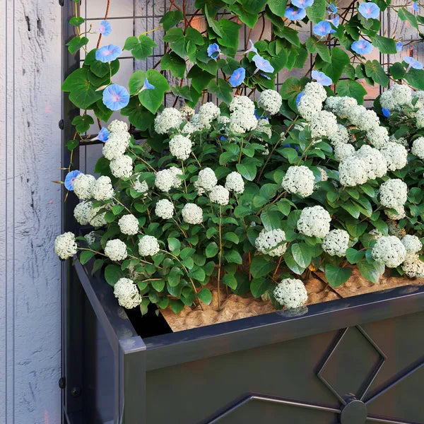 Outsunny Outdoor Planter Box Galvanized Raised Garden Bed with Trellis for Climbing Vines, 35.4" x 15.7" x 47.2", Black - product image 9