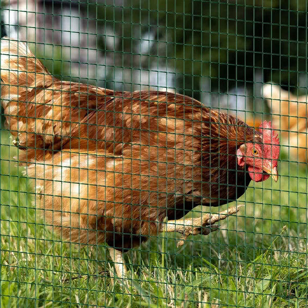 PVC Coated Steel Chicken Rabbit Mesh Fencing Wire Garden Galvanized Fence Border - product image 11