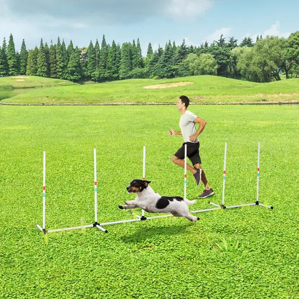 Sturdy Dog Weaves Poles Pet Speed and Agility Equipment Dogs Obstacle Outdoor with Storage Bag - product image 2