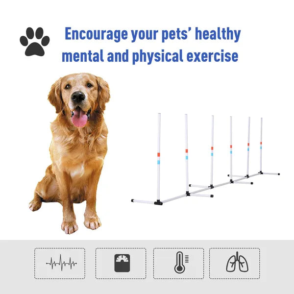 Sturdy Dog Weaves Poles Pet Speed and Agility Equipment Dogs Obstacle Outdoor with Storage Bag - product image 6