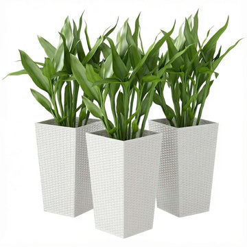 Outsunny Tall Planters for Outdoor Plants Set of 3, 24 In Taper Planters with Drainage Holes, Rattan Decor Plant Pots, White - product image 1