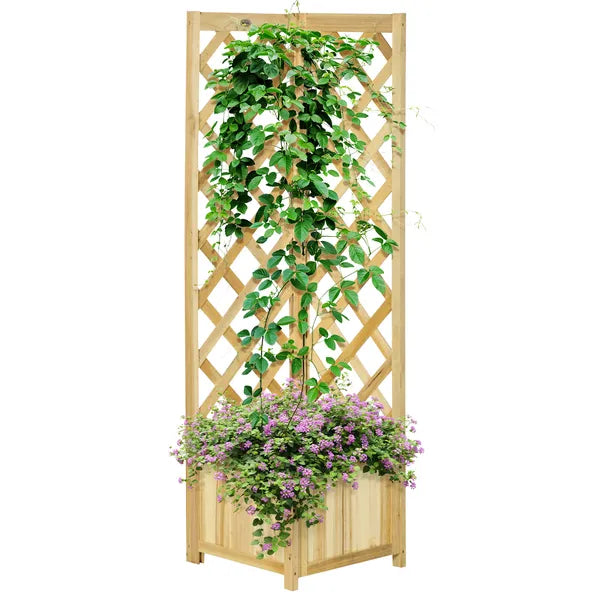 Wooden Raised Garden Bed, Planter with Trellis for Vine Climbing and Vegetables, Herbs and Flowers Growing, Natural - product image 11