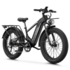 Aipas M2 Xterrain Ebike Aipas-M2-black Baskets.