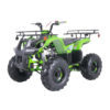TaoTao T-Force T125 4-Wheeler All-Terraiin Vehicle ATV