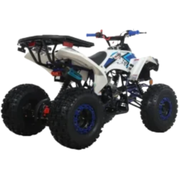 X-Pro-125cc-Gass-ATV_3.png X-Pro 125cc Gass ATV